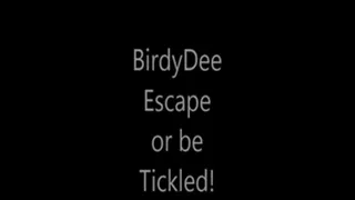 'BirdyDee'....Escape or be Tickled!