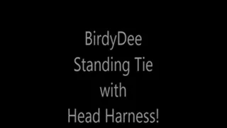 'BirdyDee'...Standing Tie with Head Harness!
