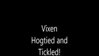 Vixen Hogtied and Tickled!
