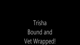 Trisha Bound and Vet Wrapped!