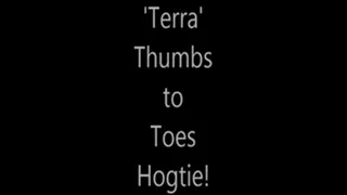 'Terra'.....Thumbs to Toes Hogtie!...