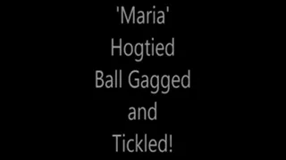 'Maria'....Hogtied....Ball Gagged and Tickled!.