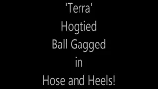 'Terra'....Hogtied....Ball Gagged in Hose and Heels!.