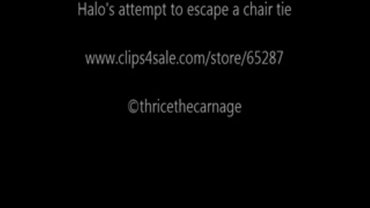 Halo chair tied