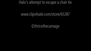 Halo chair tied