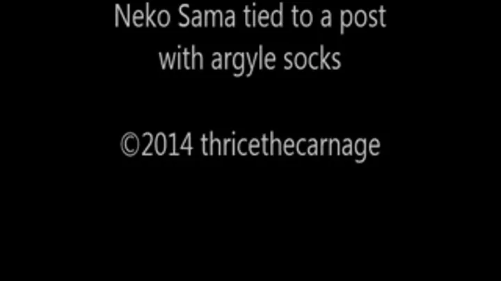 Neko tied to a post wearing argyle socks