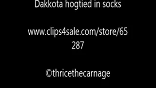 Dakkota hogtied in socks