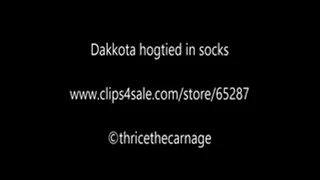 Dakkota hogtied, gagged, in socks