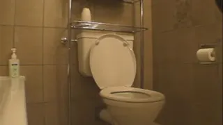 Toilet Fun Clip 52