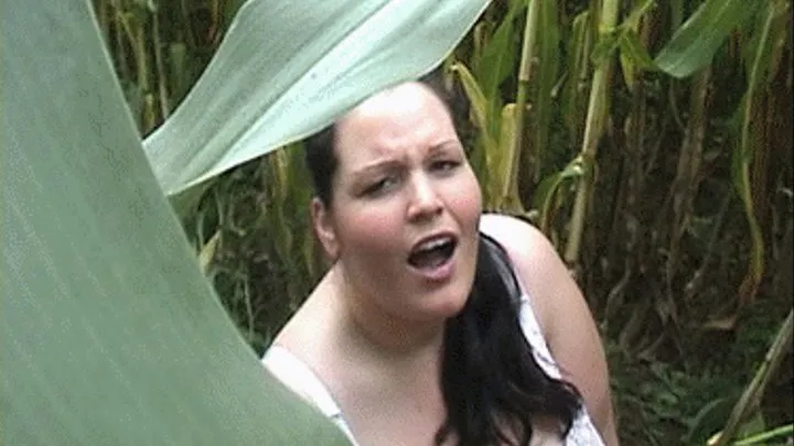 Blowjob in cornfield