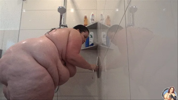 Shower Cabin Cleaning - Fat in Motion