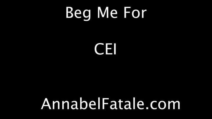 Beg Me For CEI