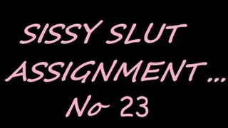 SISSY ASSIGNMENT 23 - WORKING GIRL...
