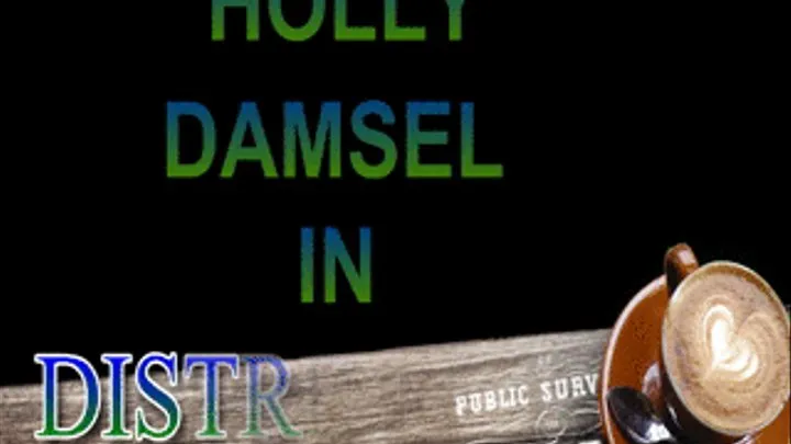 HOLLY IN DAMSEL IN PART I