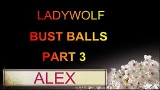 ALEX GETS HIS BALLS BUSTED PART 3 640 X 480