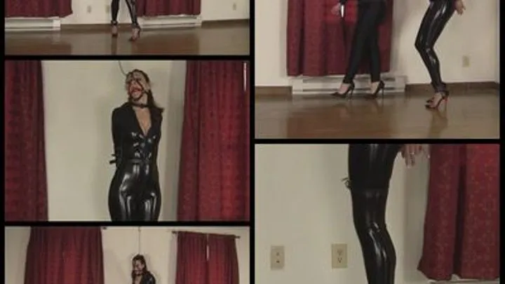 Ren Smolder & Elizabeth Andrews : Mistress's New Slave Ipod