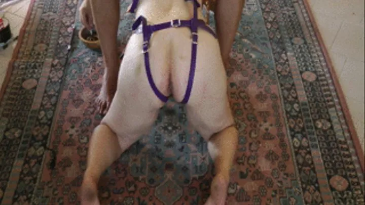 Bondage Harness Dildo play and whipping