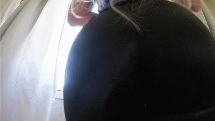 Big Shiny Ass In Your Face