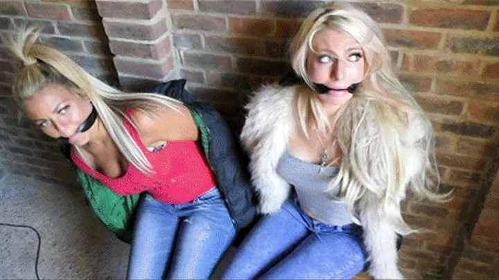 Lexi, Sarah Jayne, Alexa, Kellie & the Two Laceys in: Tightly Tied & Silenced Snoops Deposited in OutBuildings... Unable to Warn the Outside World... (Full Trifecta)