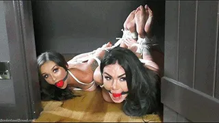 Clara & Hera in: Hot, Flexible Burglary Vixens' Very Wrong House Woes: Kept Roped & Gagged Precisely as They Should Be! (The Complete Story)