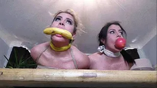Alexis, Jennifer & Talia in: Fiendish FunLand: Taking Advantage of Their Tightly Bound & Gagged Natures! (Full Odyssey)