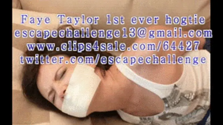 Faye Taylor Hogtied smaller size