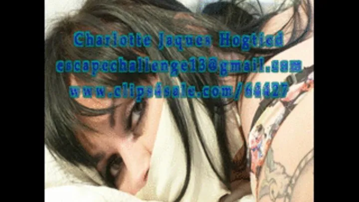 Charlotte Jacques hogtie