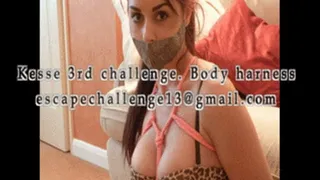 Kesse 3rd challenge lingerie bound