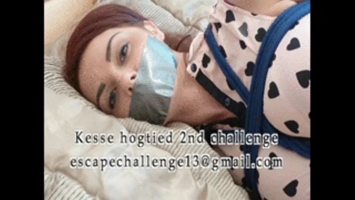 kesse hogtie