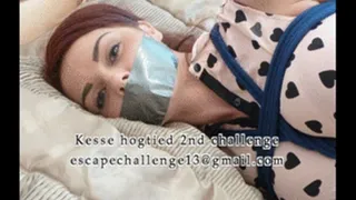 kesse hogtie smaller size