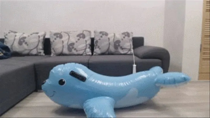 Riding my inflatable dolphin