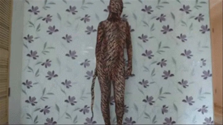 Tiger zentai (nylon encasement)