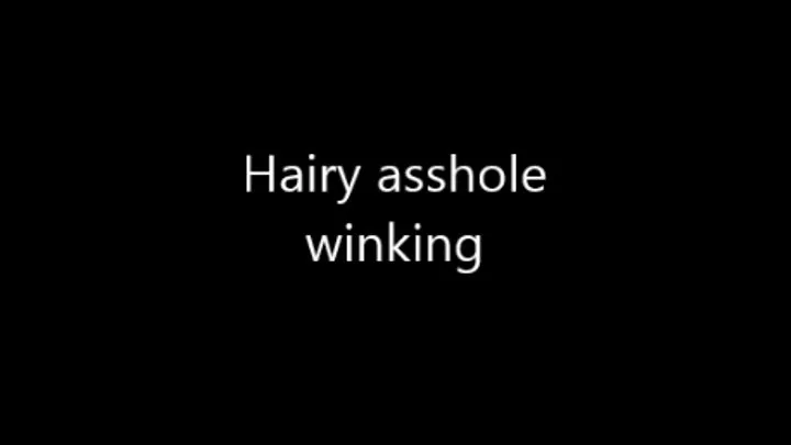 Hairy asshole winking (hairy)