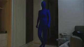 ZENTAI FIGHTS INVISIBLE NINJAS *custom* (nylon encasement)