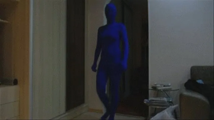 ZENTAI FIGHTS INVISIBLE NINJAS *custom*