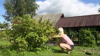 Digging sewing chopping a big bush (short shorts)