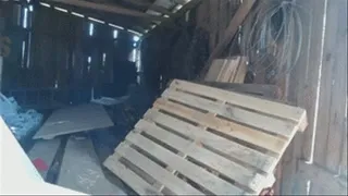 Stuck in a shed