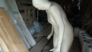 Alone in a shed (nylon encasement)