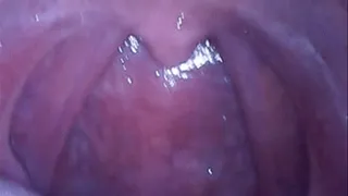 Mouth check (throat fetish)