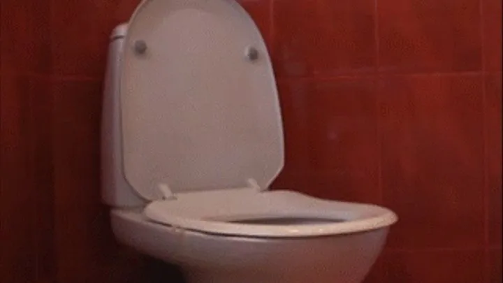 Toilet clip N6 - Diarrhea and diarrhea farts