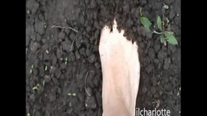 Feet having fun in the soil