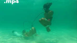 Bound Snorkelers