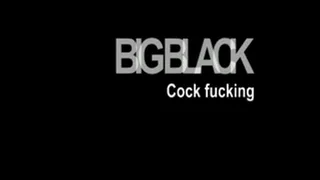 Big Black Cock Fucking