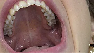 inside the mouth