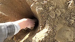 get stuck in a mountain of sand mp