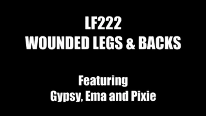 LF222 - WOUNDED LEGS and BACKS compilation - featuring Ema, Gypsy and Pixie