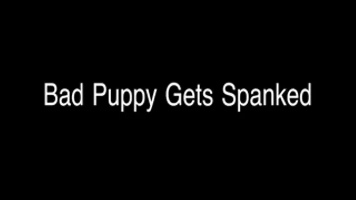 Bad Puppy Gets Spanked