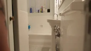 Bathroom Voyeur