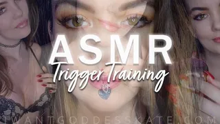 ASMR Trigger Training (3DIO, Mesmerize)