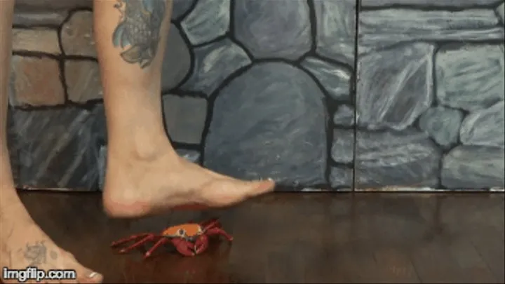 Barefoot Rubber Crab Stomp